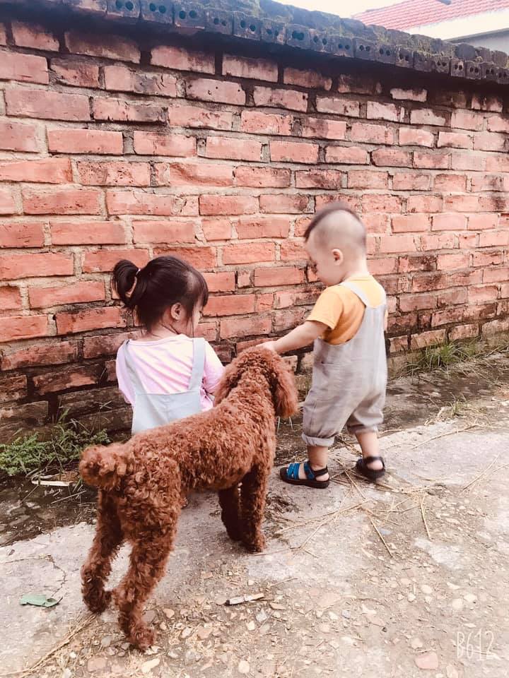 FREE01 - Yếm Jumpsuit / Đào Đức